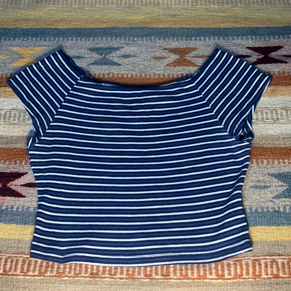 Brandy Melville blue striped crop top, size small